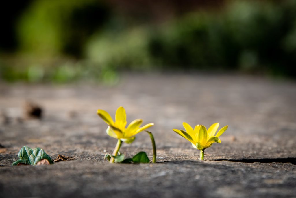 Turning Anxiety Into Adaptability